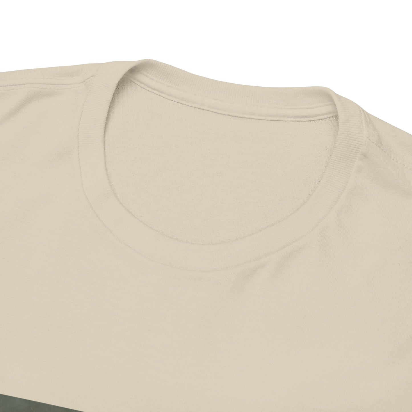 Leo Graphic Tee | Unisex Heavy Cotton T-Shirt for Yoga Lovers, Mindfulness, Gift for Her, Relaxation