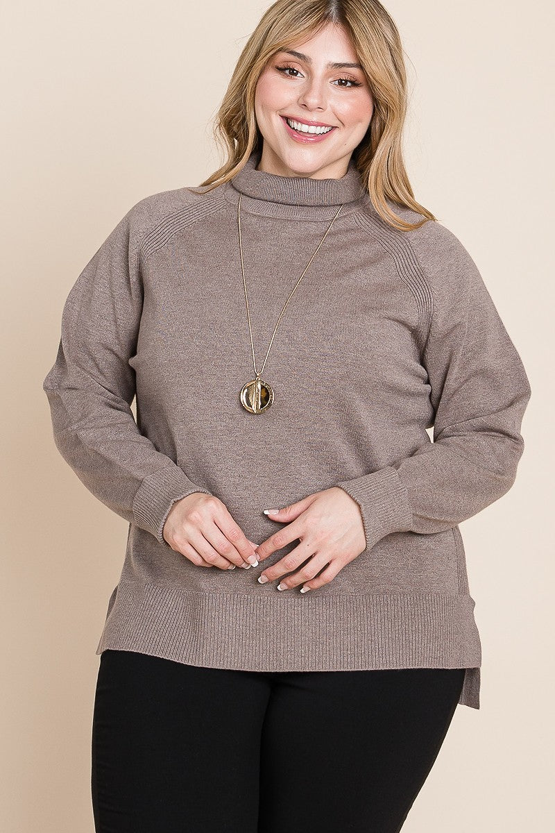 Turtleneck Two Tone High Low Hem Sweater